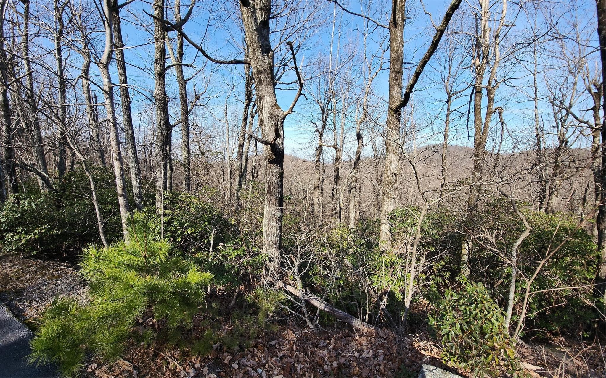 Lot at Lot 22 Sunset Ridge Drive, Columbus, photo 11 of 15