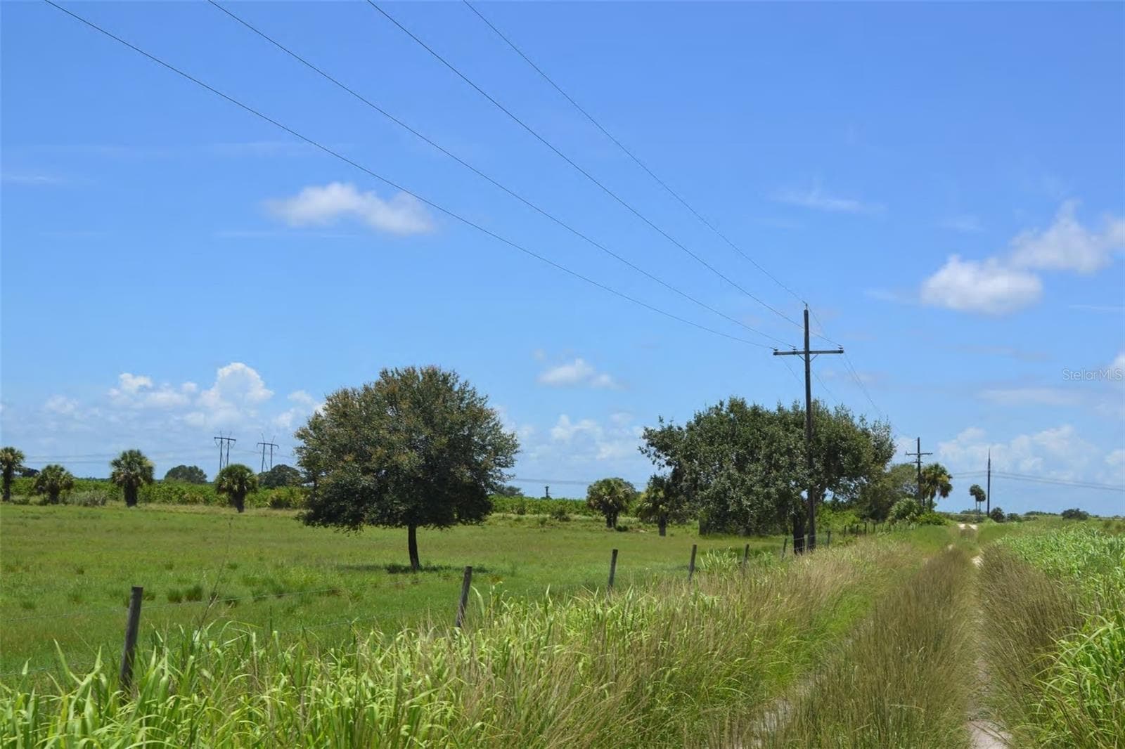 SCHUMANN RD