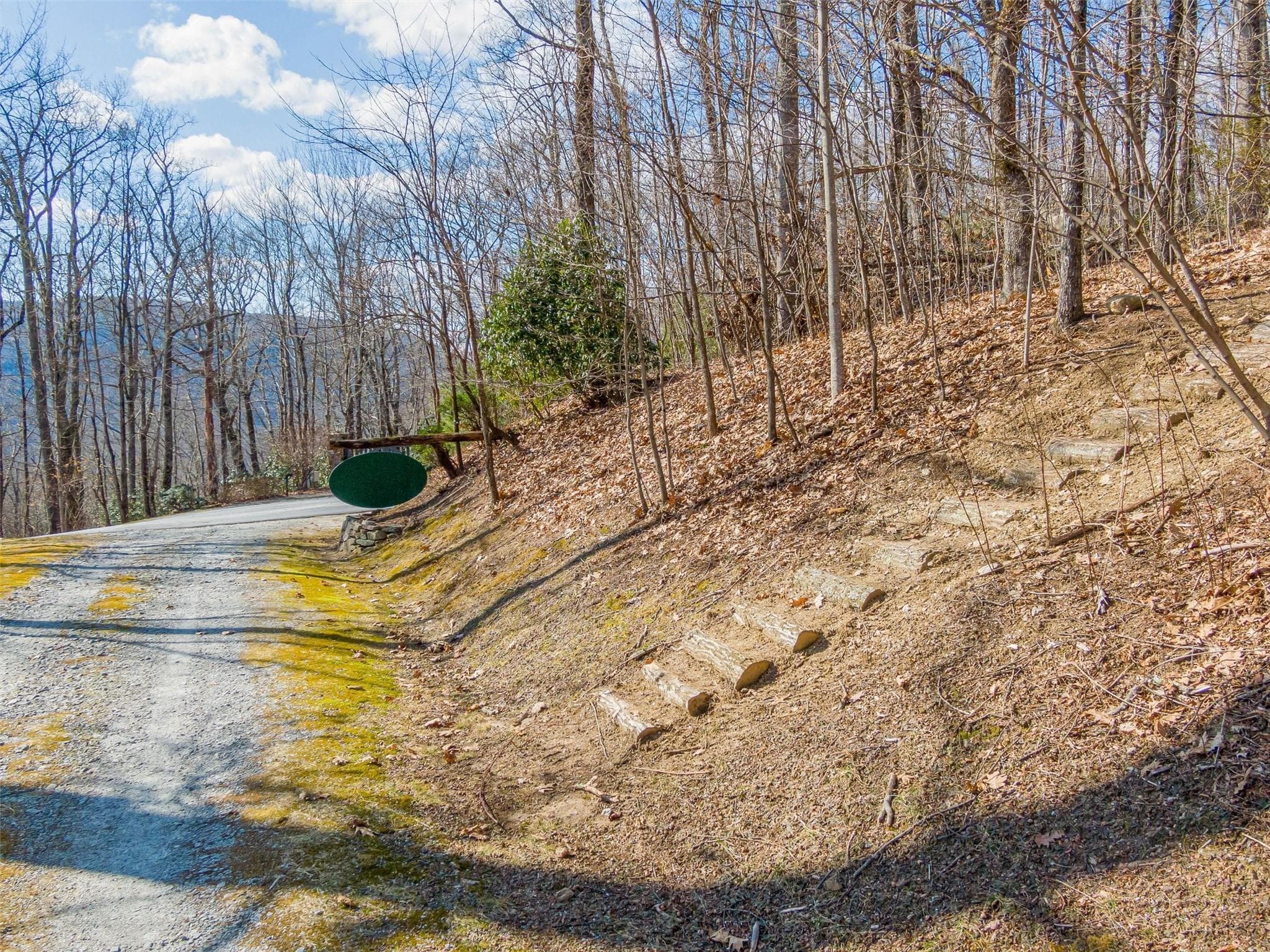 Lot at Lake Toxaway, photo 3 of 26