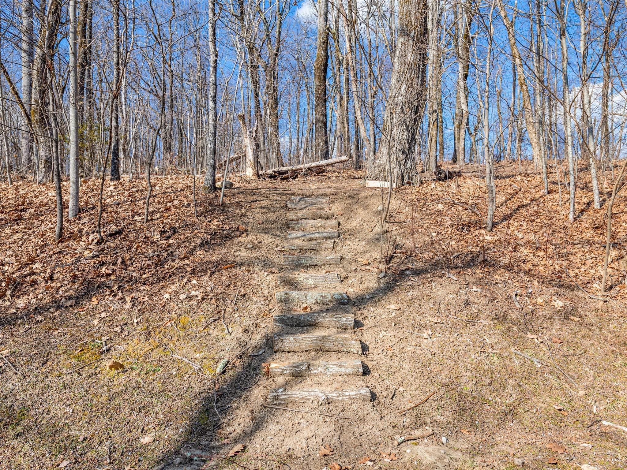 Lot at Lake Toxaway, photo 4 of 26