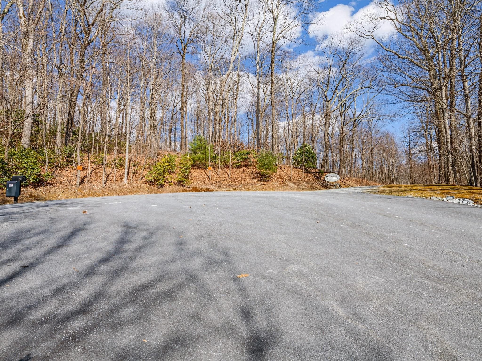 Lot at Lake Toxaway, photo 5 of 26
