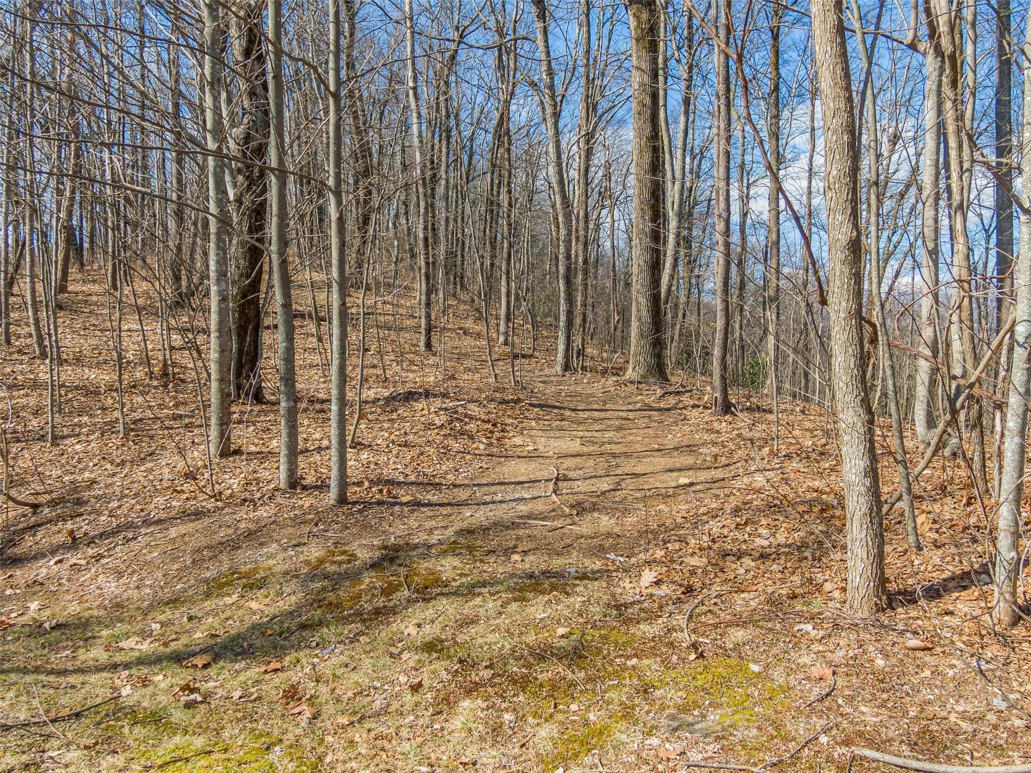 Lot at Lake Toxaway, photo 6 of 26