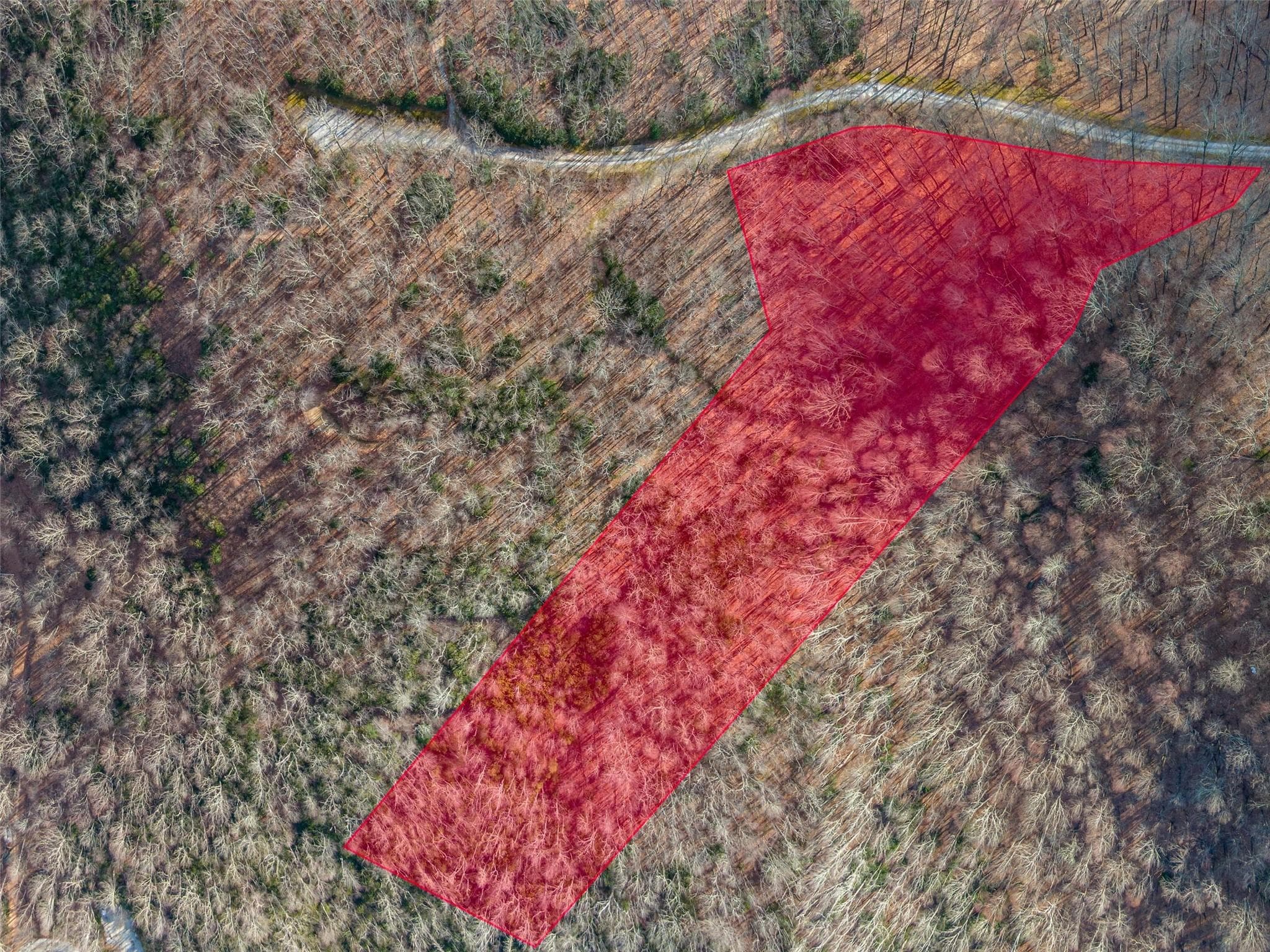 Lot at Lake Toxaway, photo 9 of 26