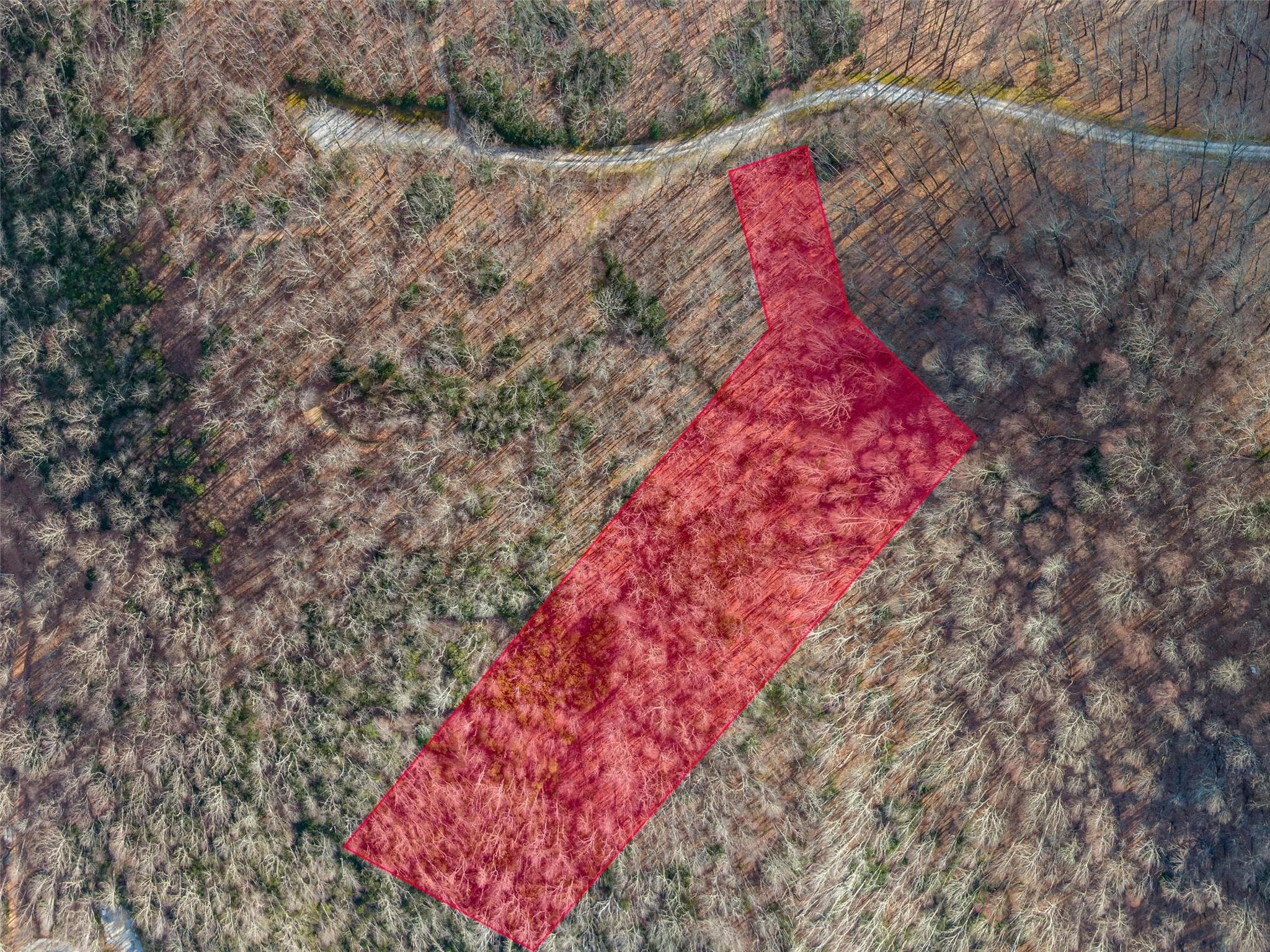 Lot at Lake Toxaway, photo 13 of 26