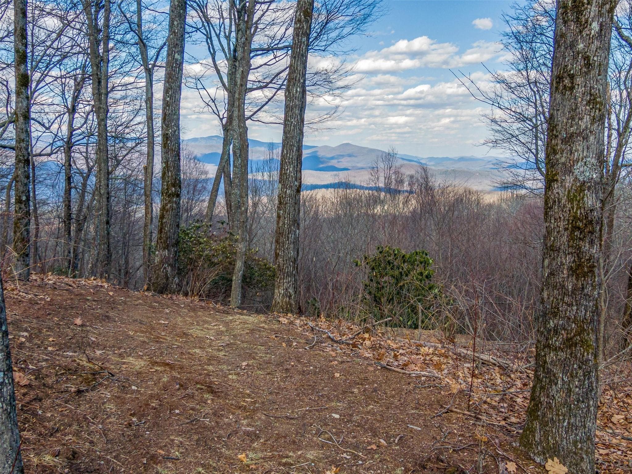 Lot at Lake Toxaway, photo 15 of 26