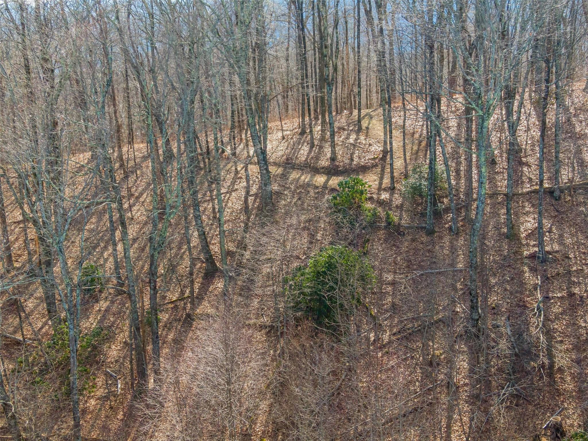 Lot at Lake Toxaway, photo 18 of 26