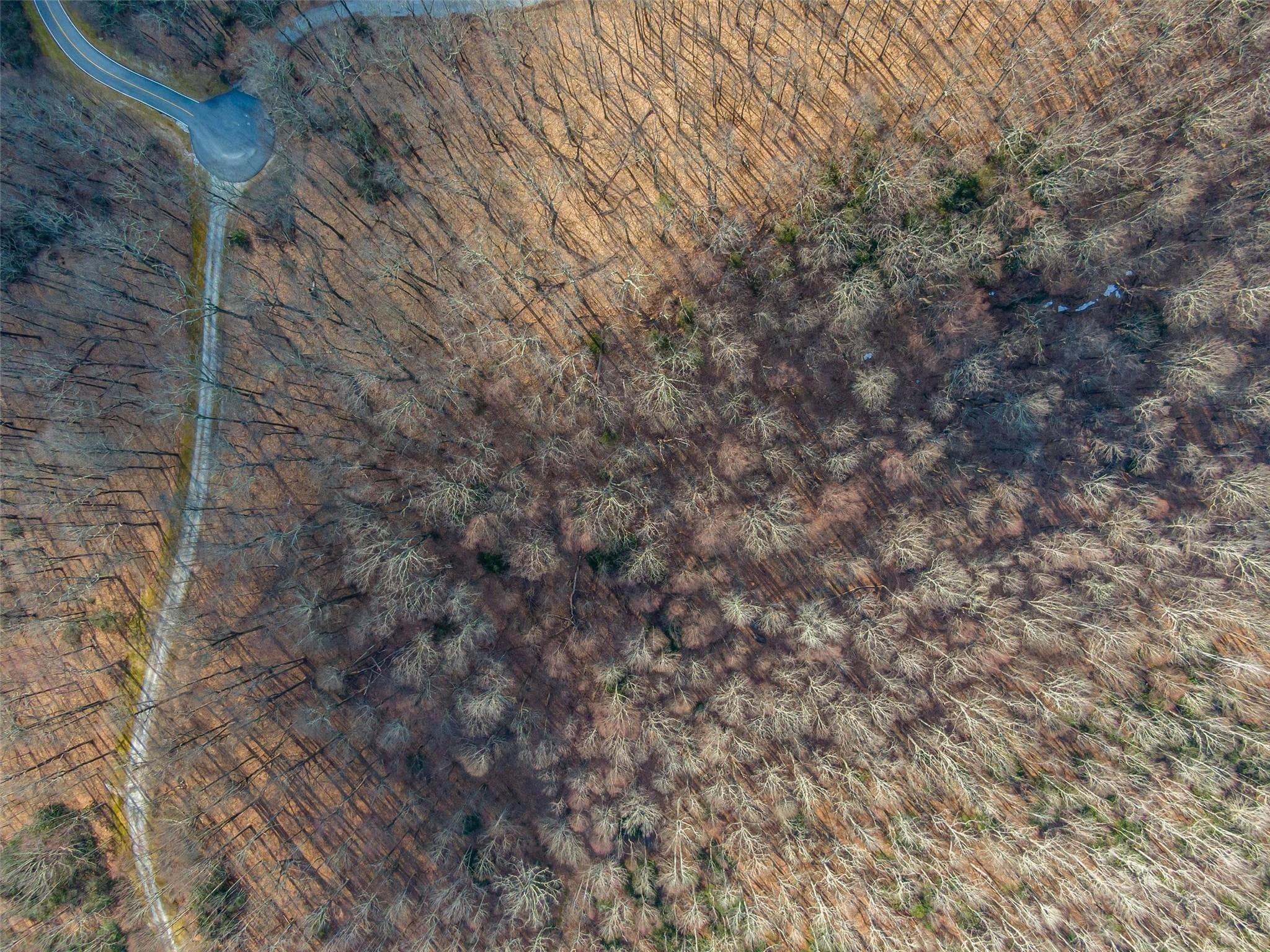 Lot at Lake Toxaway, photo 21 of 26