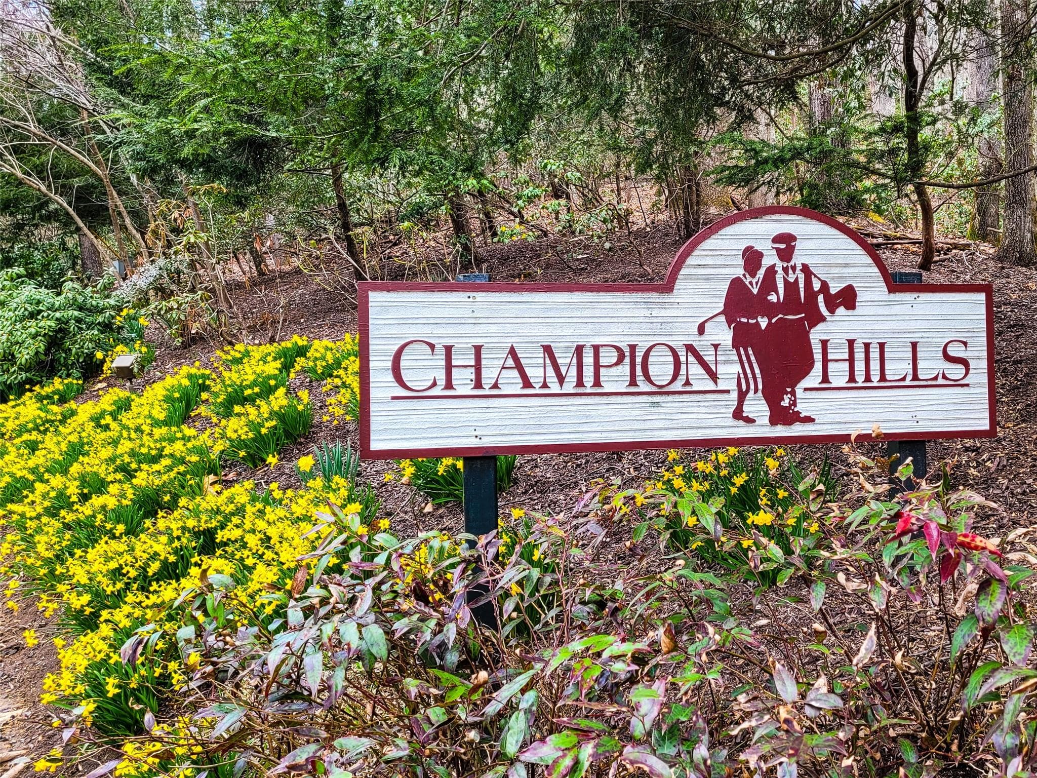 Lot at Hendersonville, photo 17 of 17