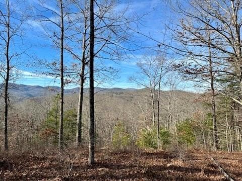 Lot at 305 Raccoon Run, Marshall, photo 2 of 30