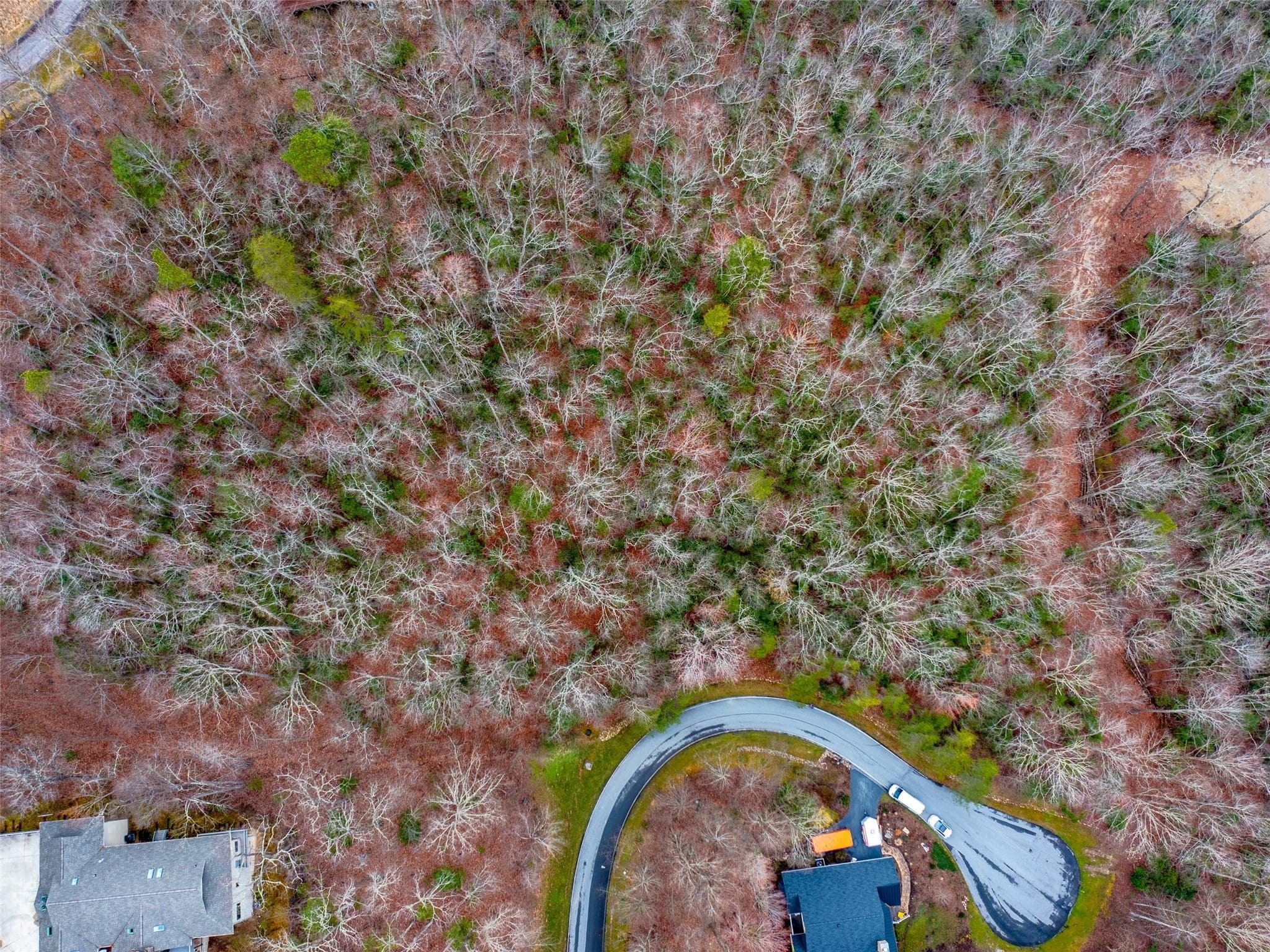 Lot at Hendersonville, photo 15 of 17