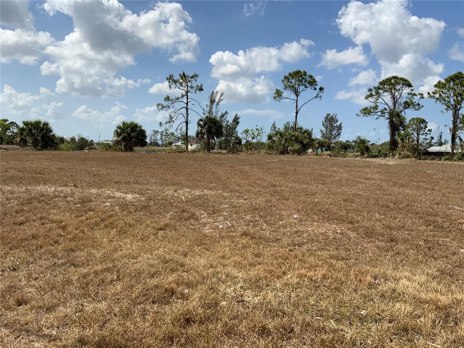 View from Street Lookings Toward Canals - 2113 NE 43RD LN, CAPE CORAL