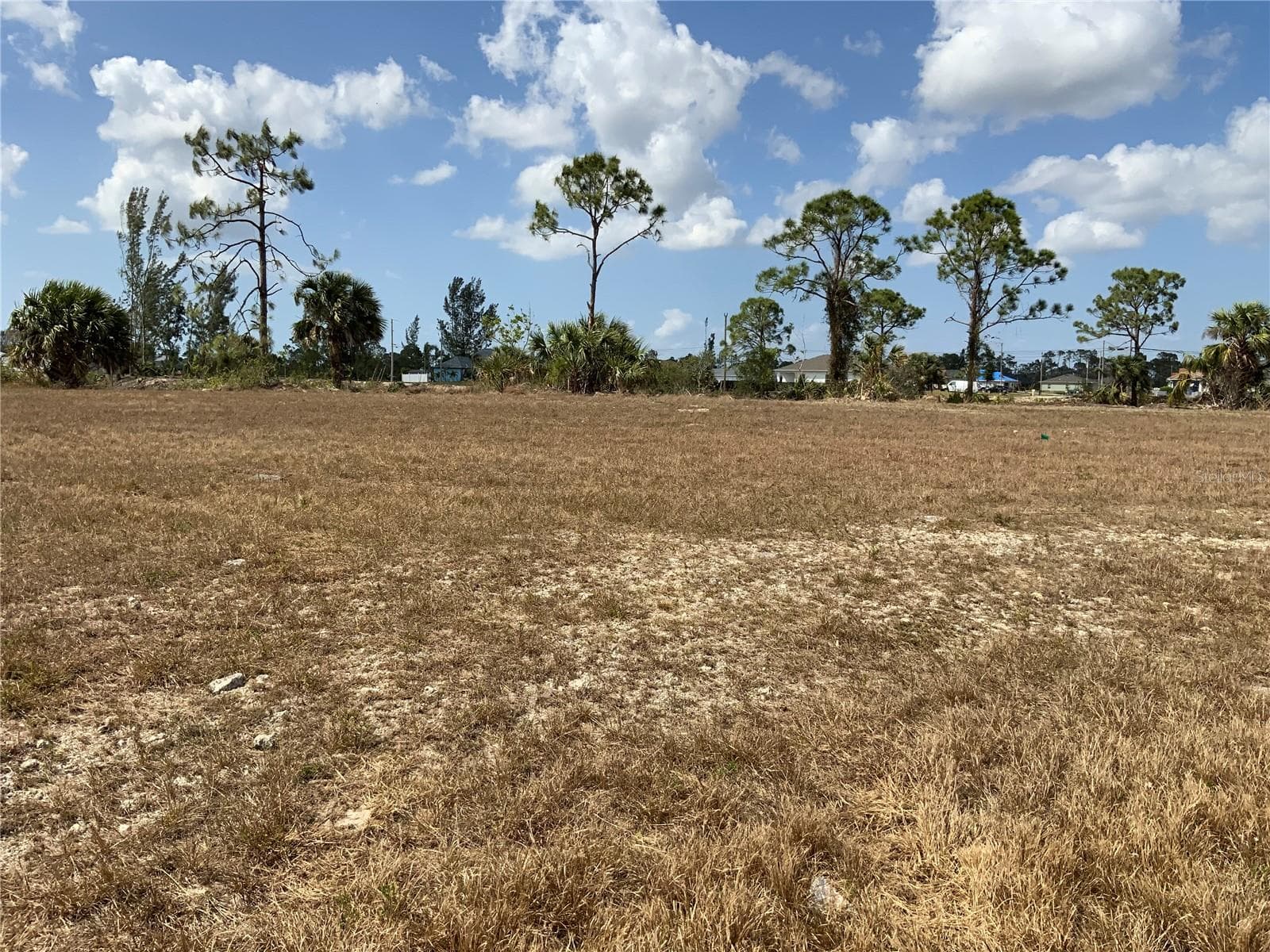 Tree Line with Canals Below - 2113 NE 43RD LN, CAPE CORAL