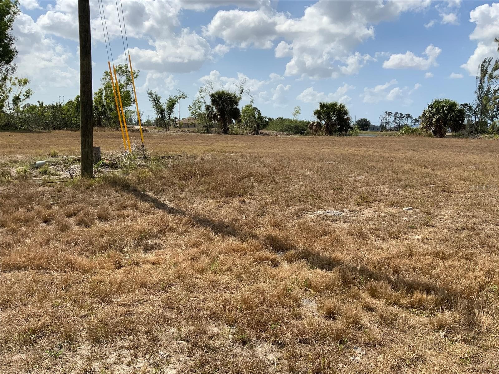 Utility Pole Near Street - 2113 NE 43RD LN, CAPE CORAL