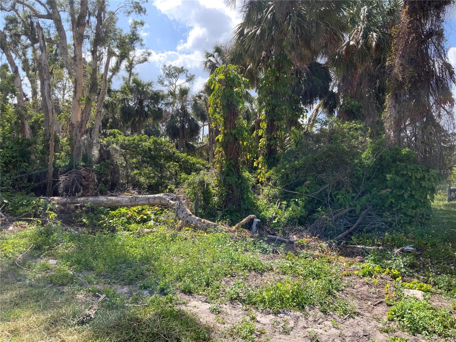 Yacht Club Colony West Wooded Lot at 2271 Westwood Road. - 2271 WESTWOOD RD, NORTH FORT MYERS