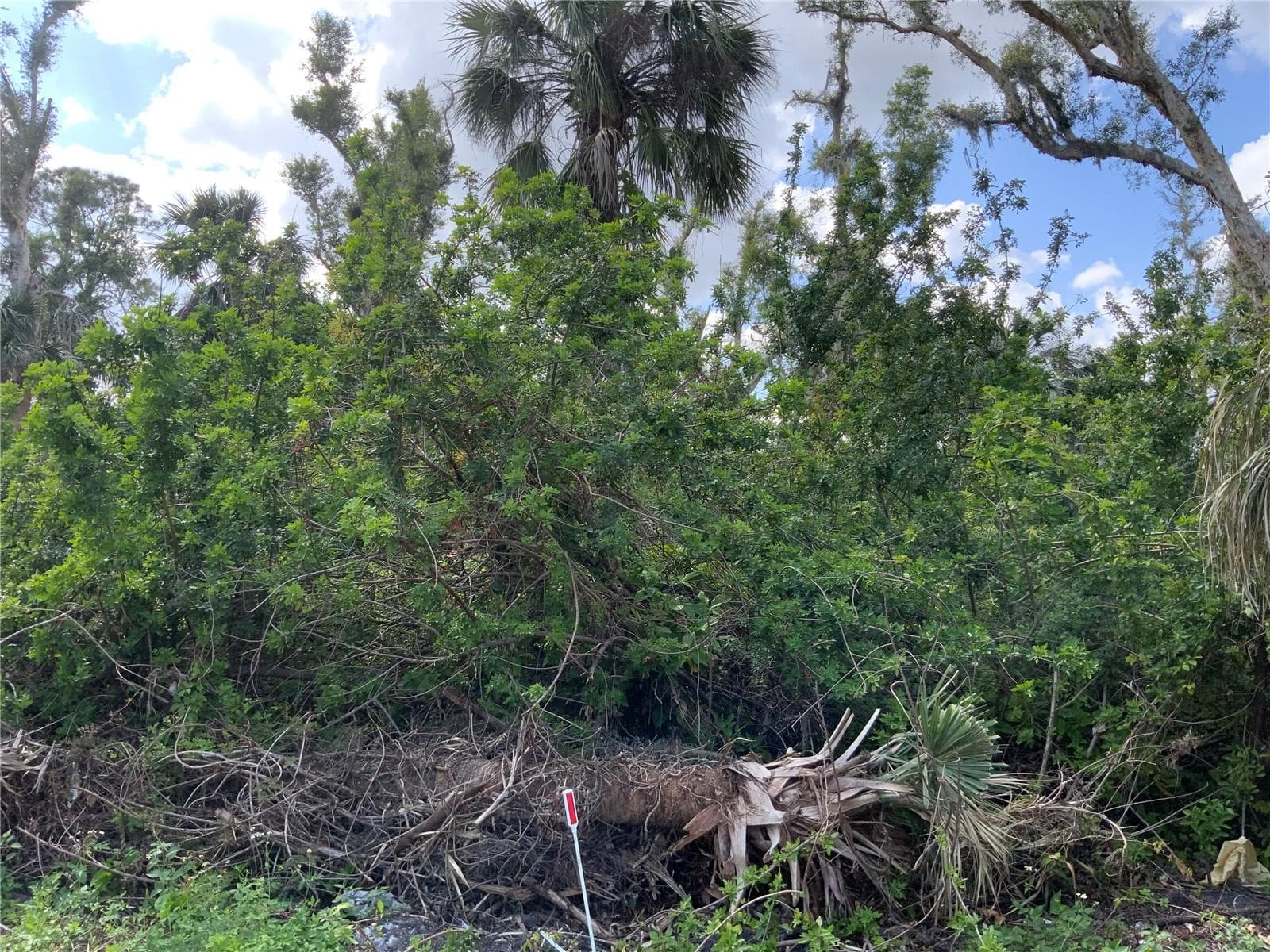 View from Street - 2271 WESTWOOD RD, NORTH FORT MYERS
