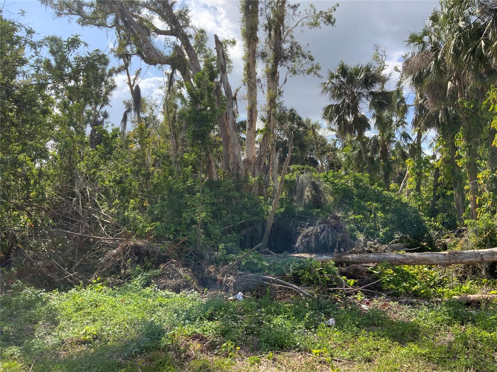 Wooded Lot is Just Shy of 1/2 Acre - 2271 WESTWOOD RD, NORTH FORT MYERS