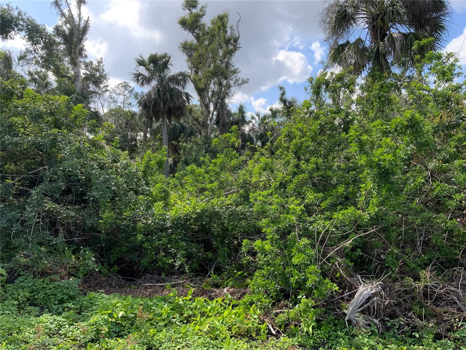 Lot Dimensions are 174' x 115' - 2271 WESTWOOD RD, NORTH FORT MYERS