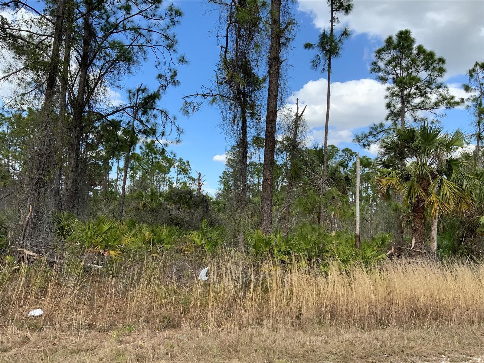 Wooded Lot - 4219 E 30TH ST, ALVA
