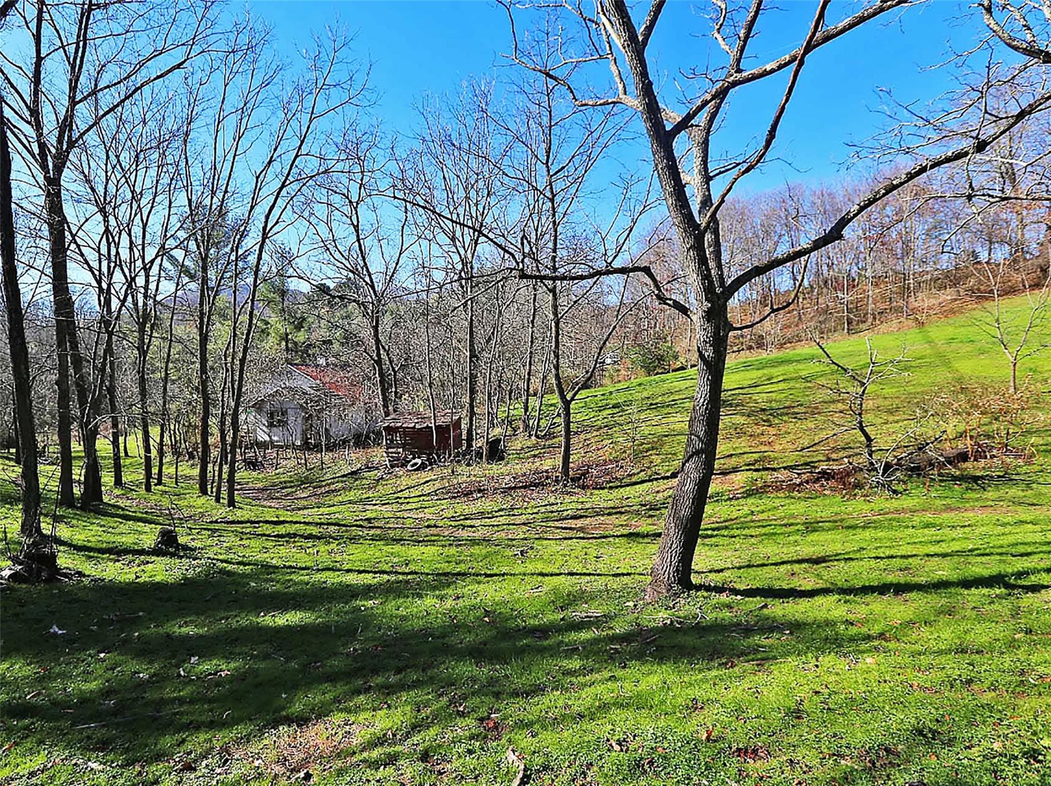 Acreage at Waynesville, photo 6 of 30