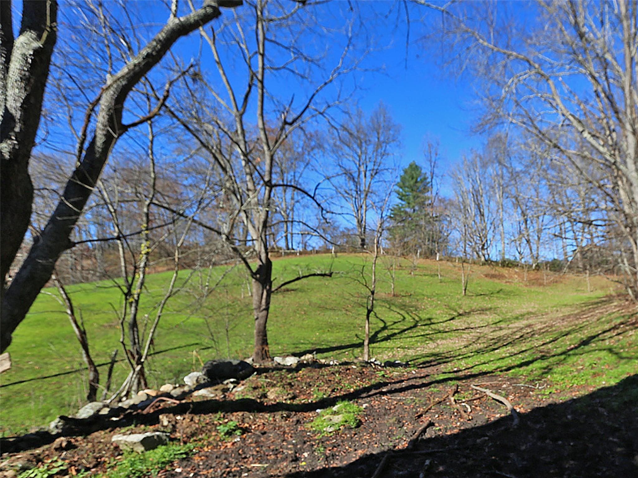 Acreage at Waynesville, photo 7 of 30