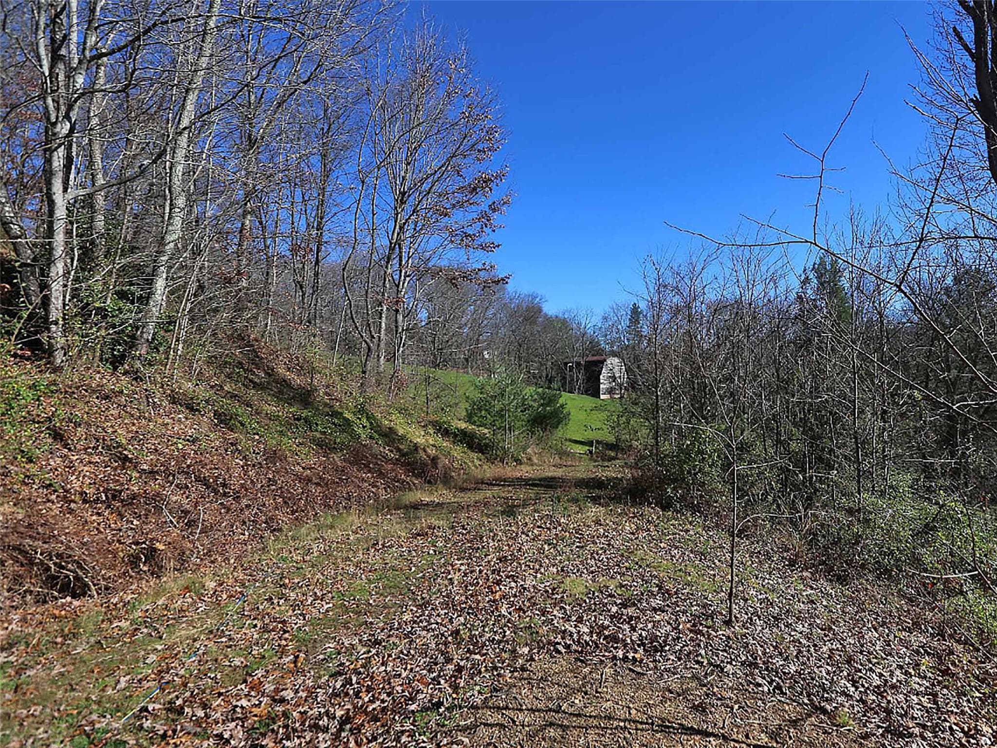 Acreage at Waynesville, photo 11 of 30