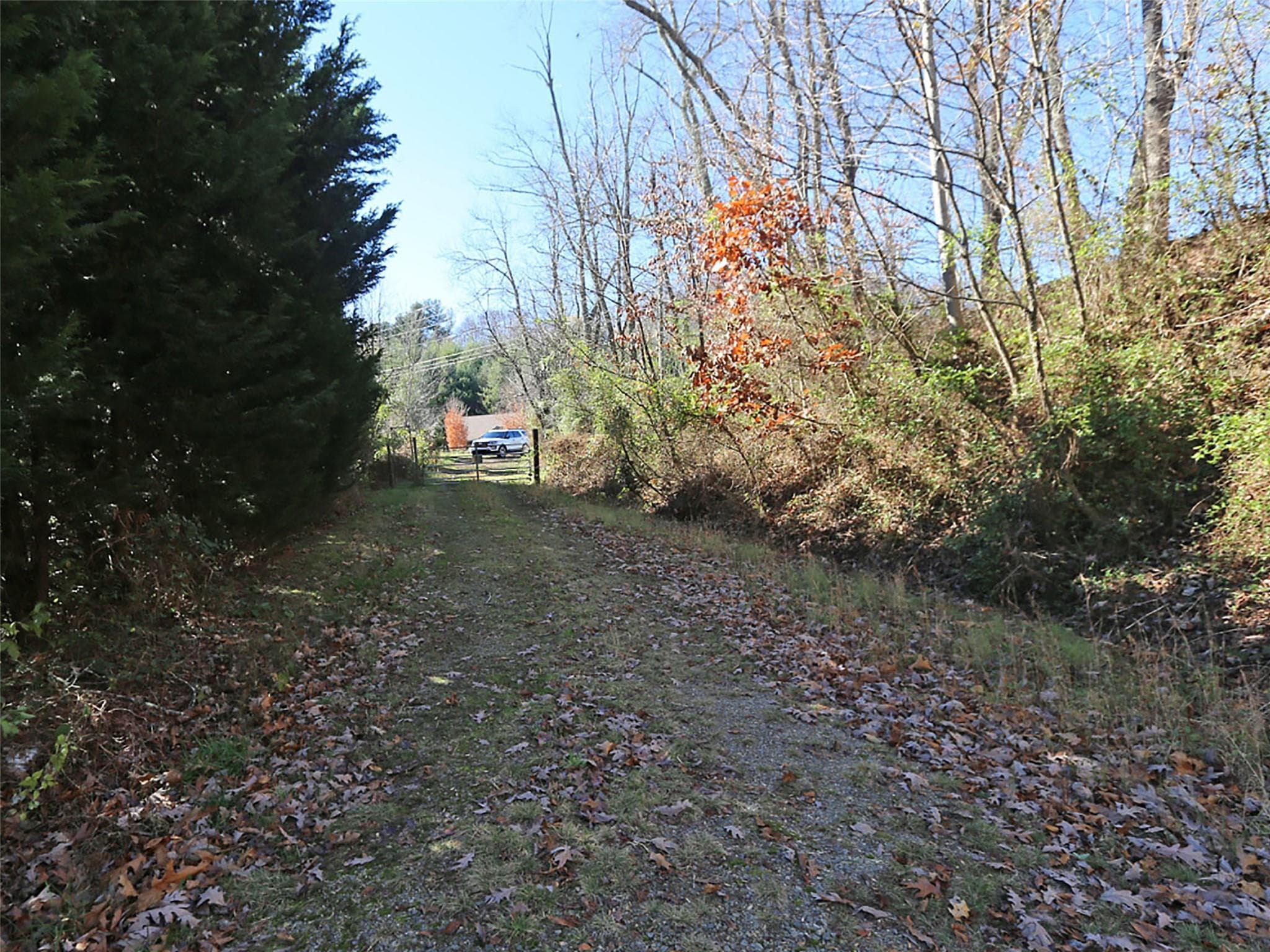 Acreage at Waynesville, photo 12 of 30