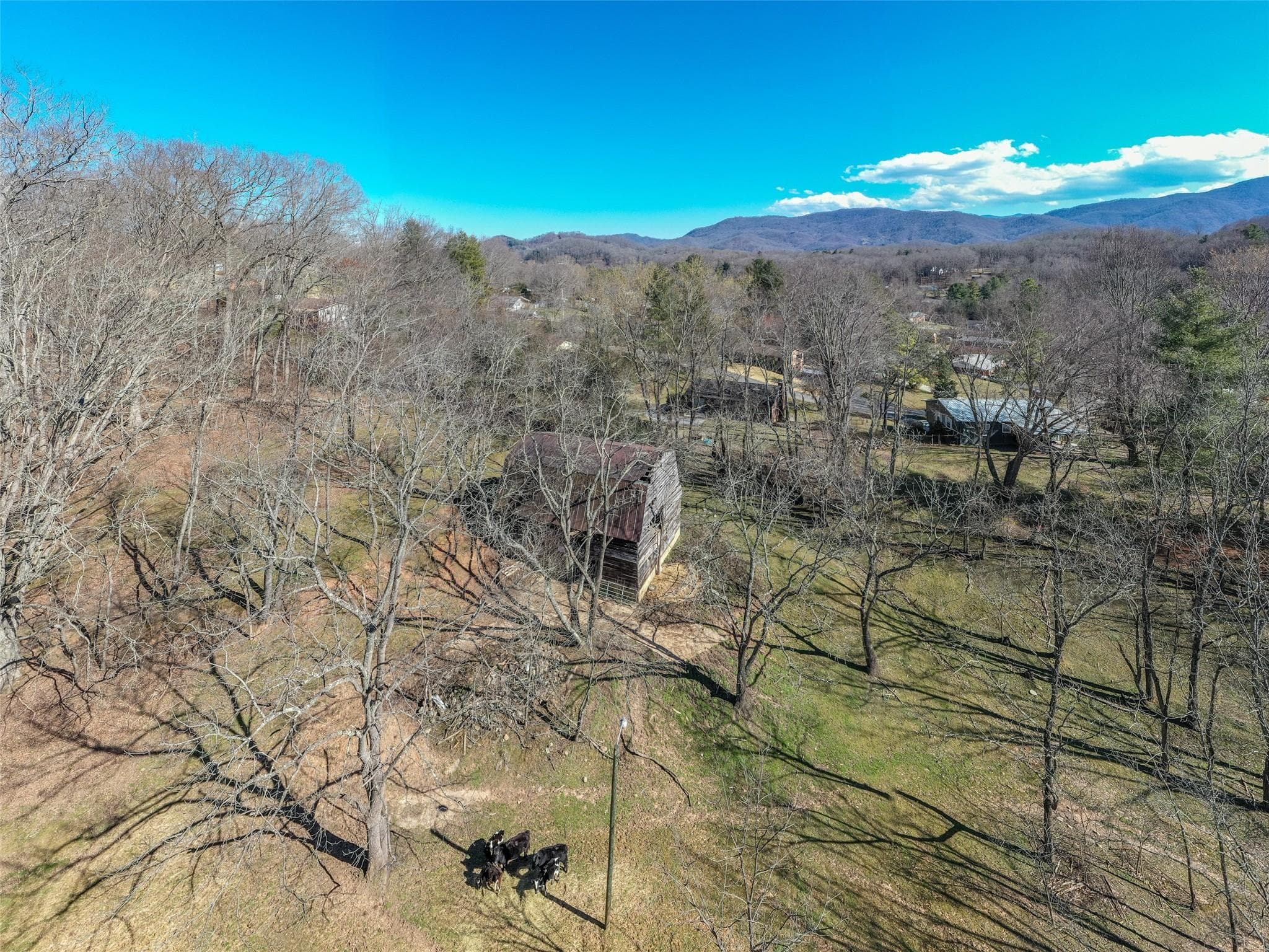 Acreage at Waynesville, photo 14 of 30