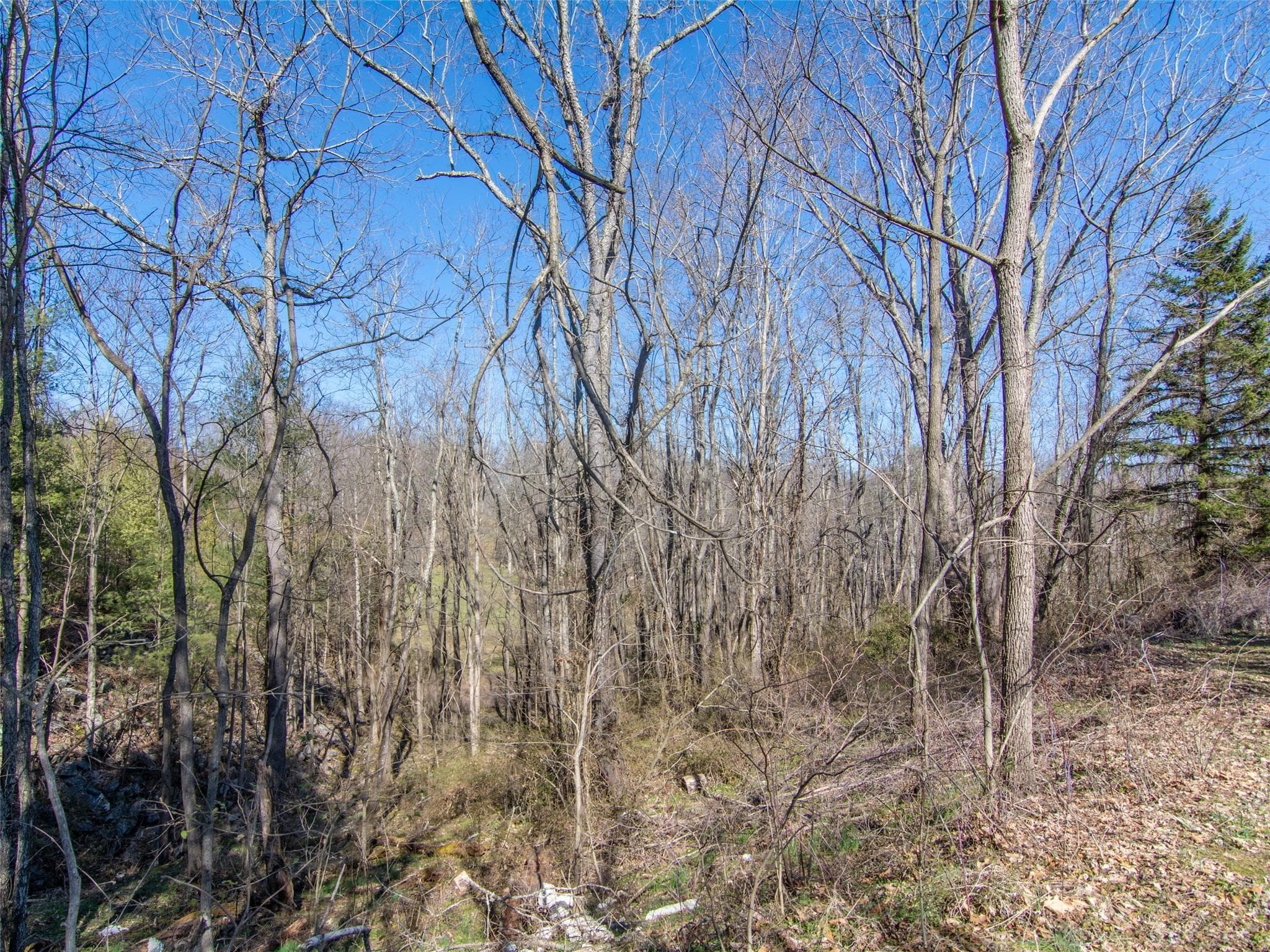 Acreage at Waynesville, photo 19 of 30