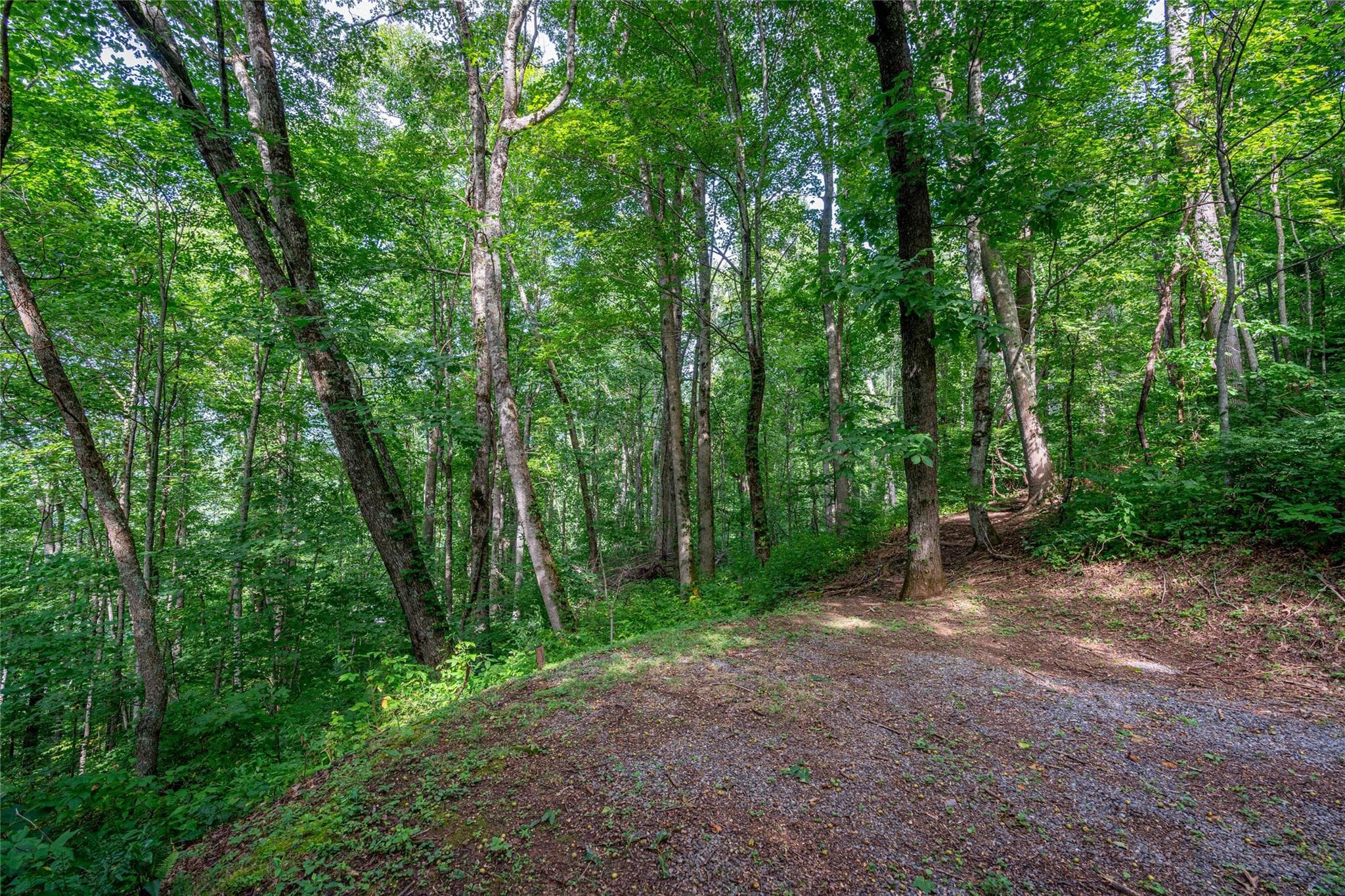 Lot at 8 Resurrection Lane, Sylva, photo 9 of 21