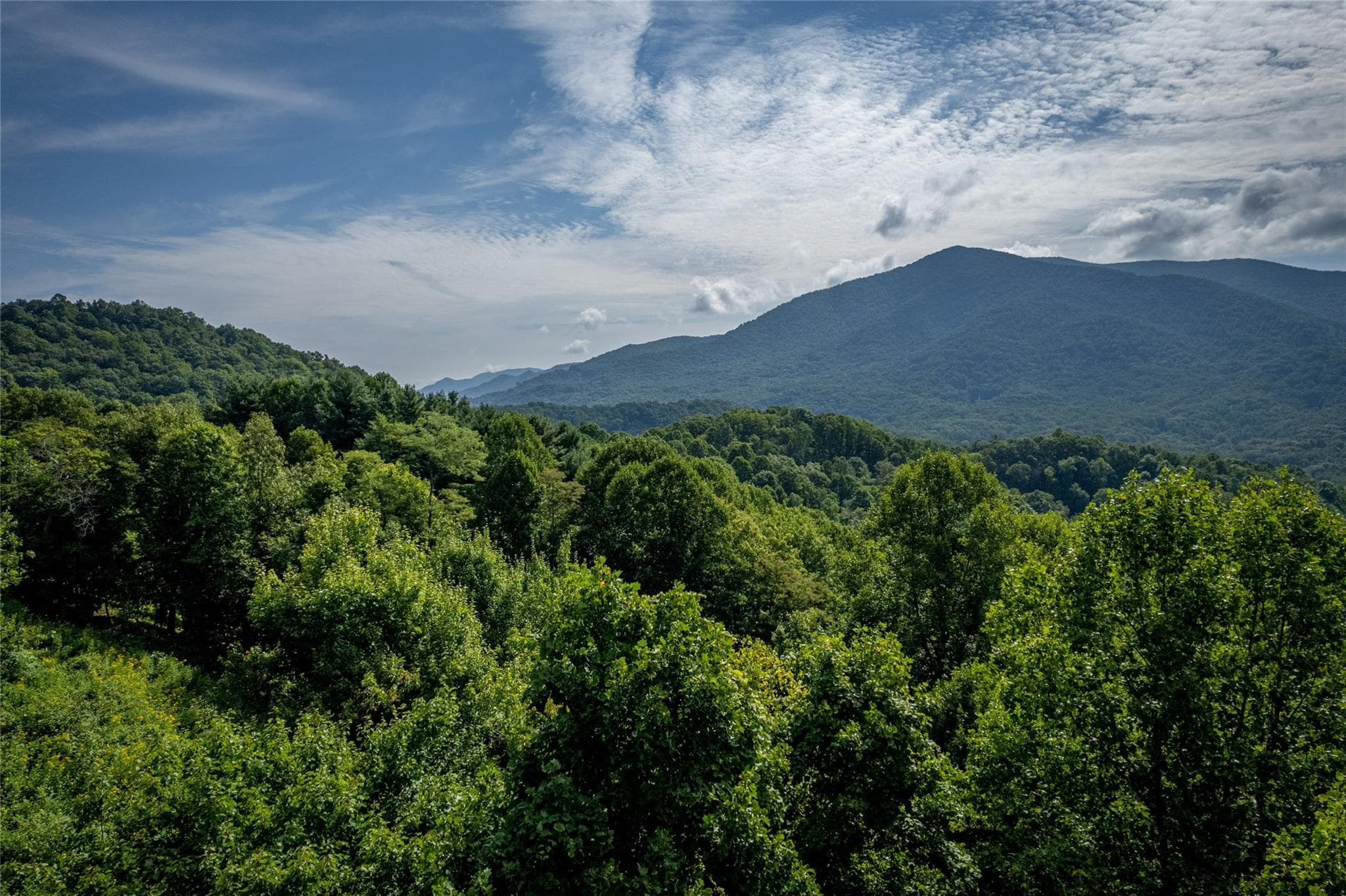 Lot at 8 Resurrection Lane, Sylva, photo 18 of 21