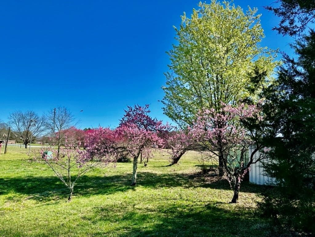 Unimproved Commercial at 4085 W Nc 152 Highway, China Grove, photo 40 of 48