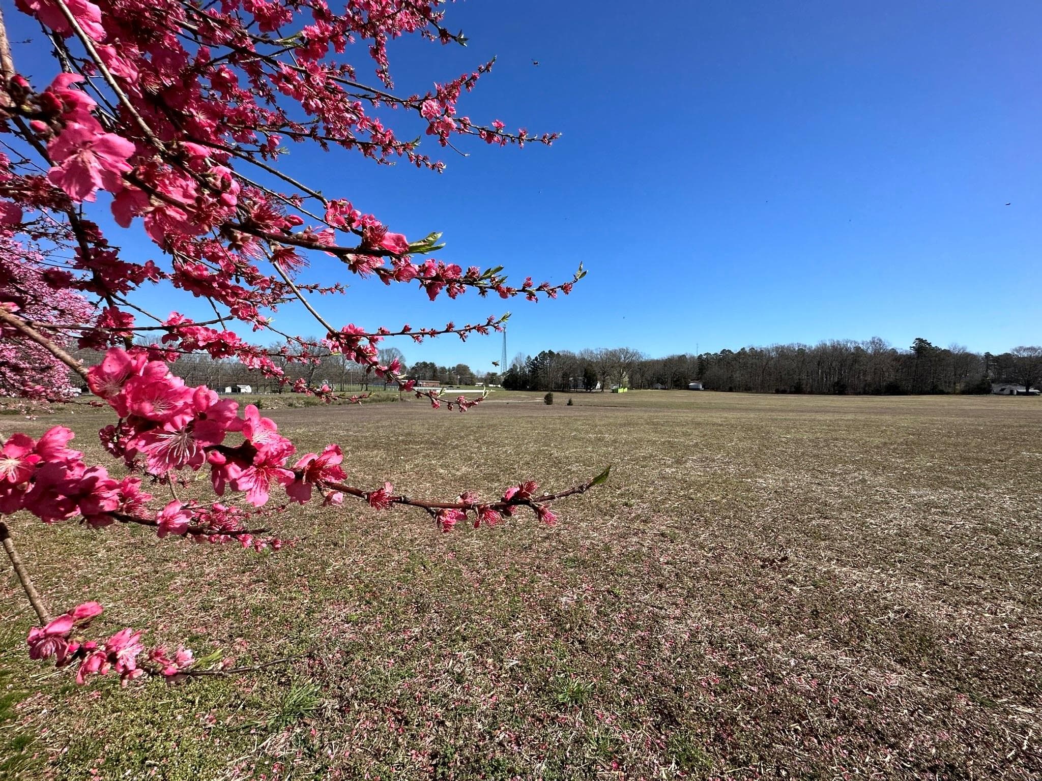 Unimproved Commercial at 4085 W Nc 152 Highway, China Grove, photo 42 of 48