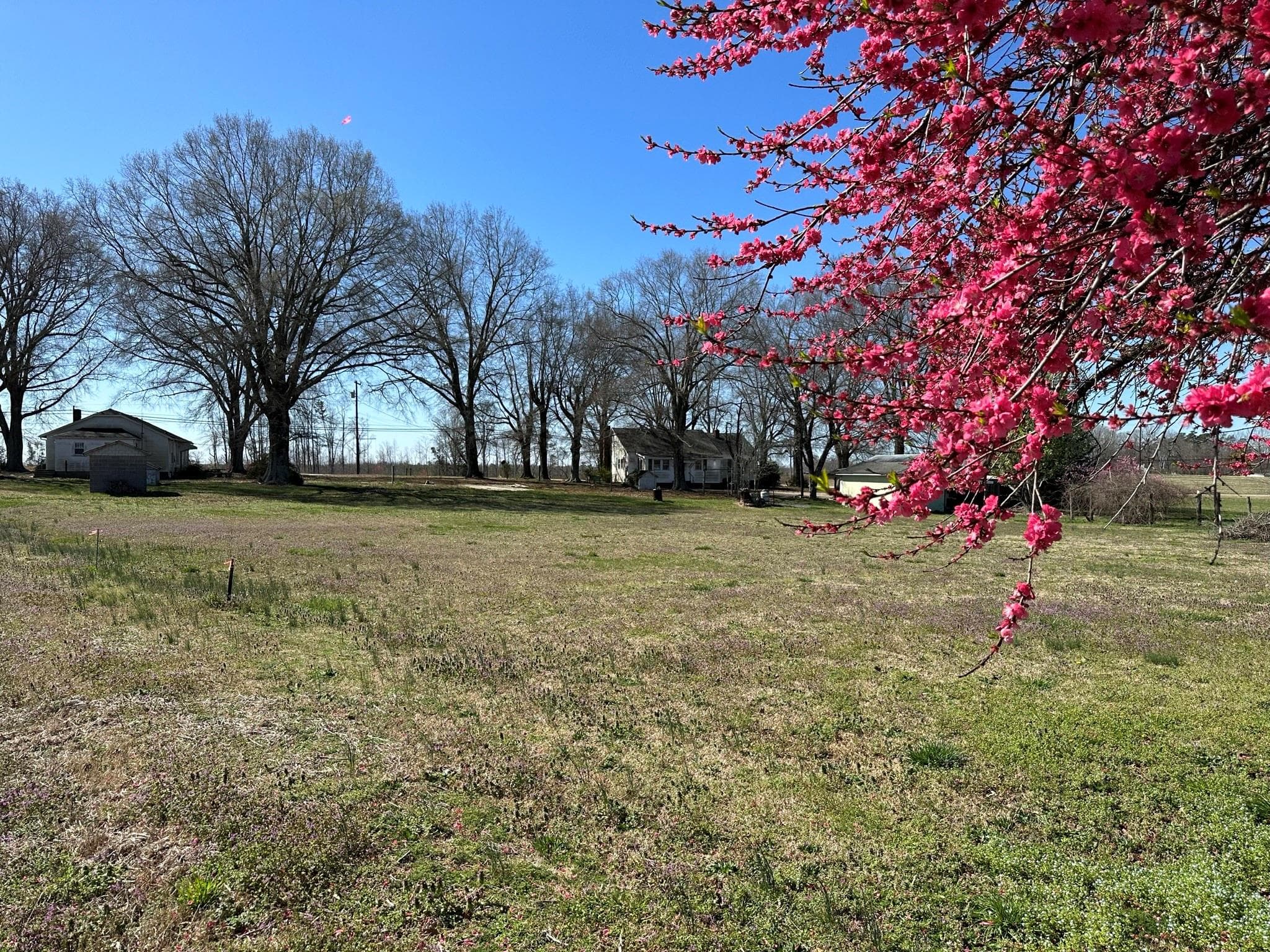 Unimproved Commercial at 4085 W Nc 152 Highway, China Grove, photo 43 of 48