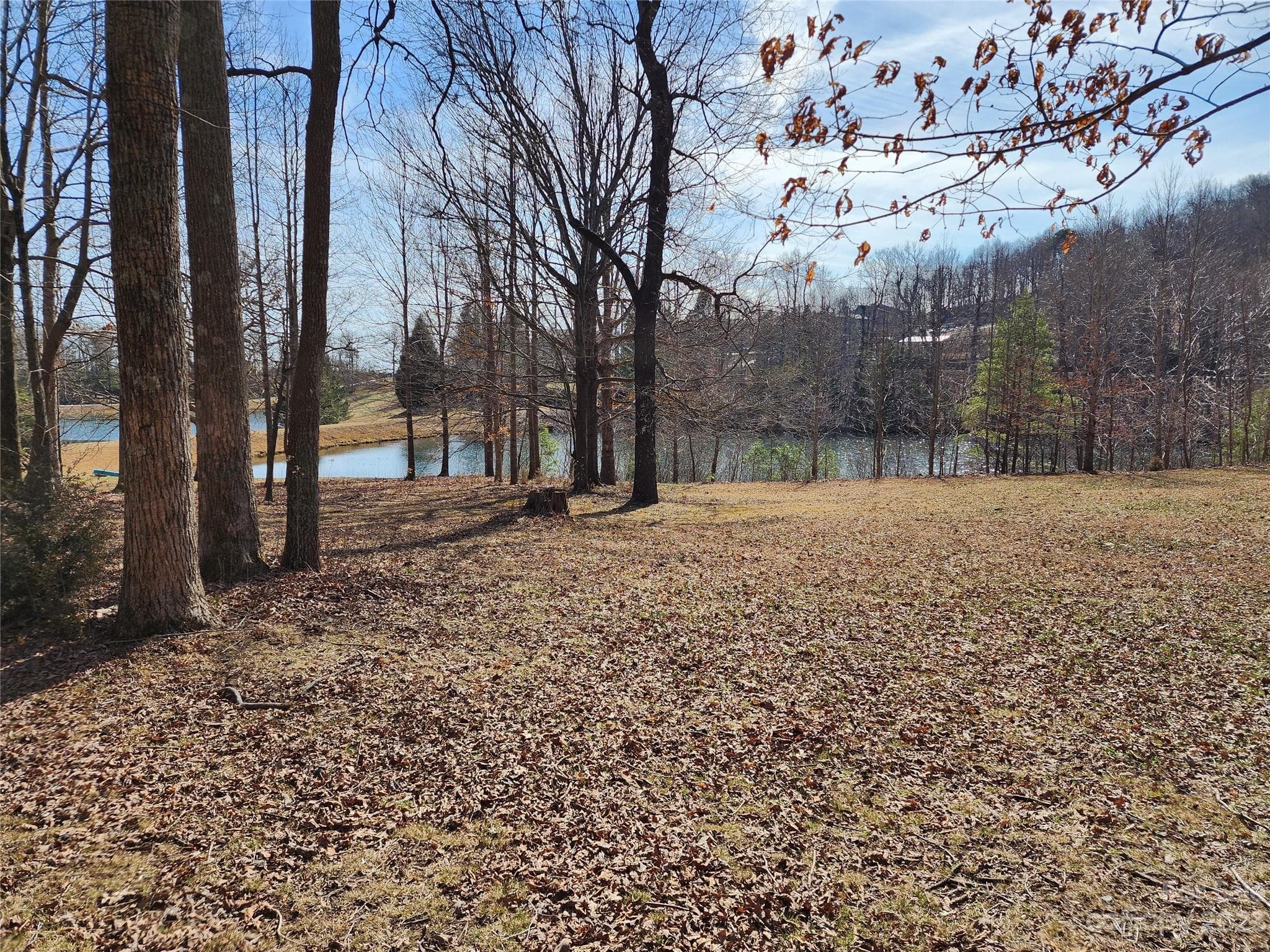 Lot at Lot 77 Three Bridges Drive, Columbus, photo 6 of 26
