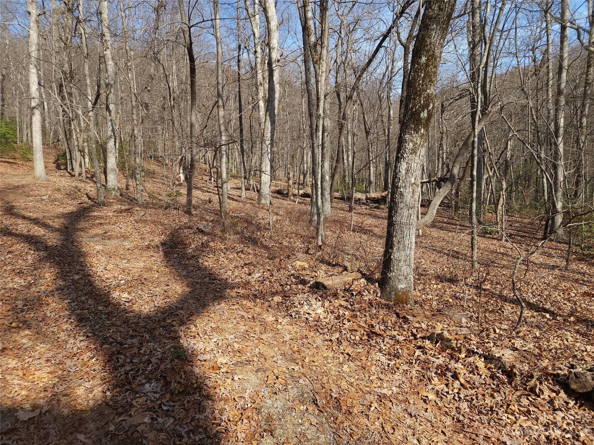 Lot at Lot 77 Three Bridges Drive, Columbus, photo 14 of 26