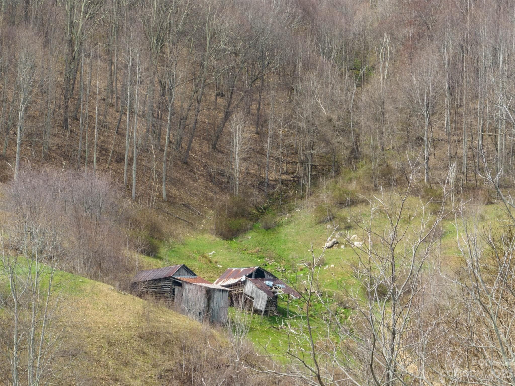Acreage at 00 Wesley Creek Road, Clyde, photo 5 of 45