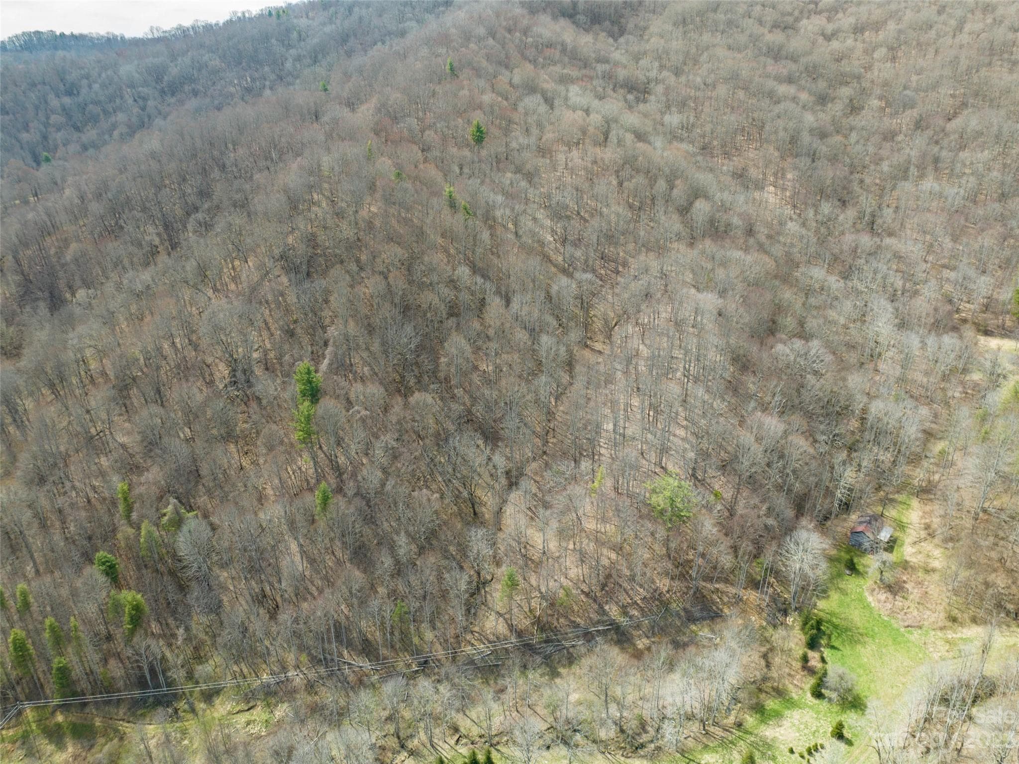 Acreage at 00 Wesley Creek Road, Clyde, photo 30 of 45