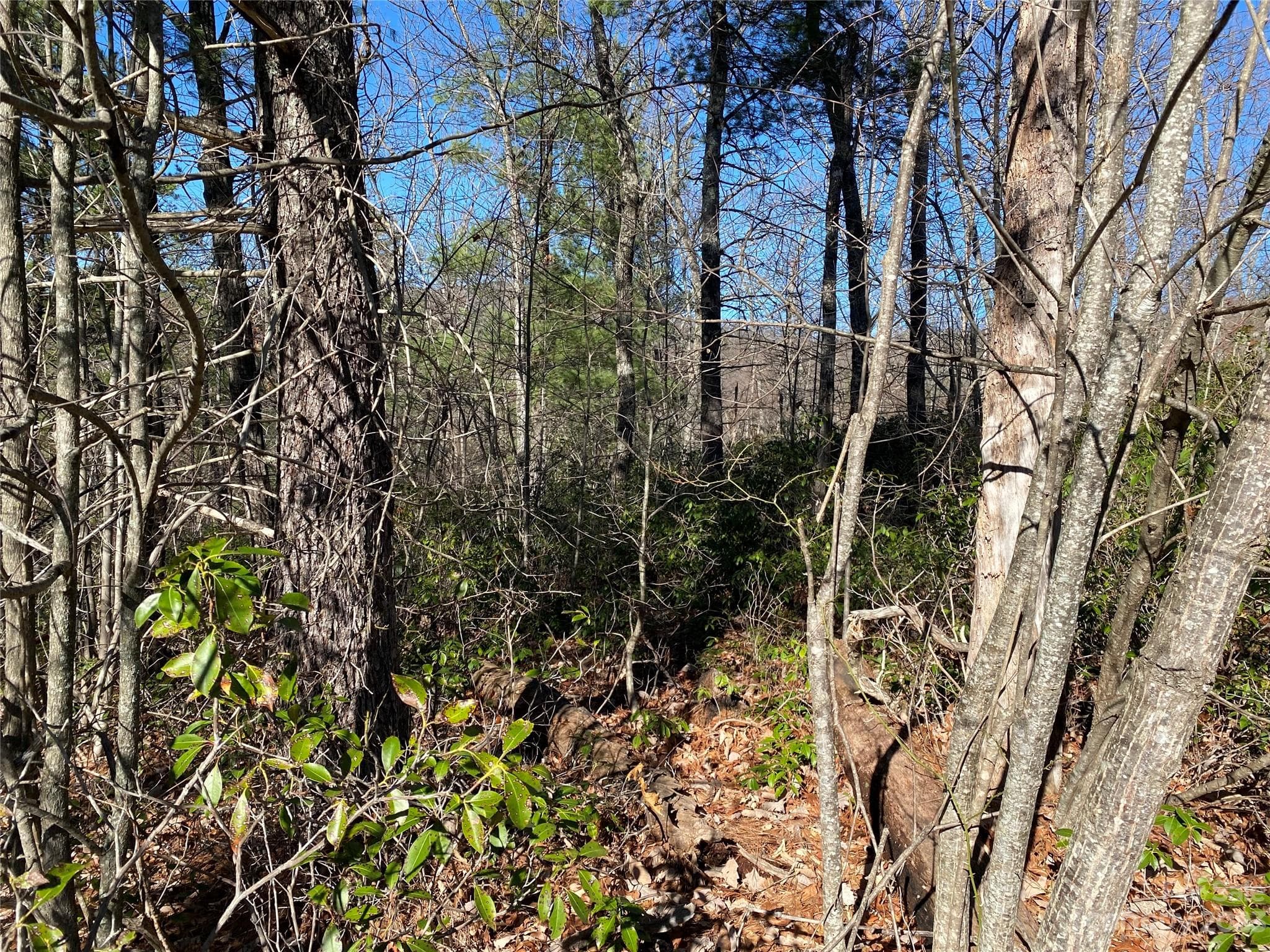 Lot at Lot 49 Sunrise Path, Marion, photo 9 of 15