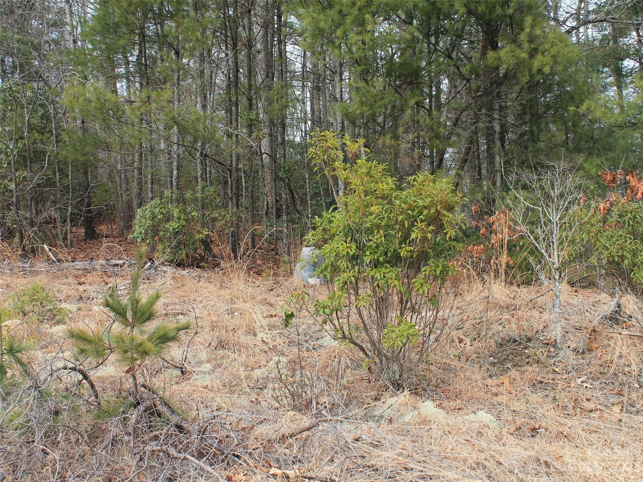Lot at Hendersonville, photo 2 of 5