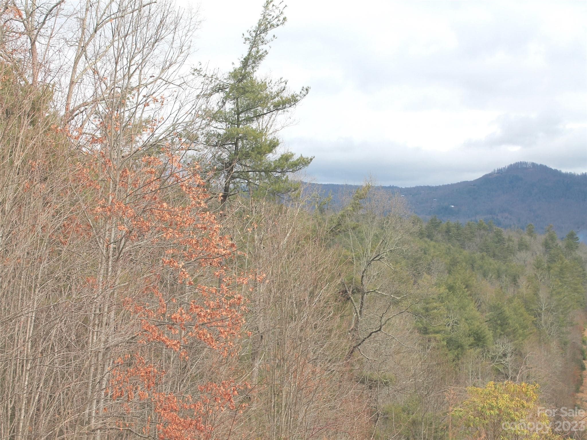 Lot at Hendersonville, photo 3 of 5