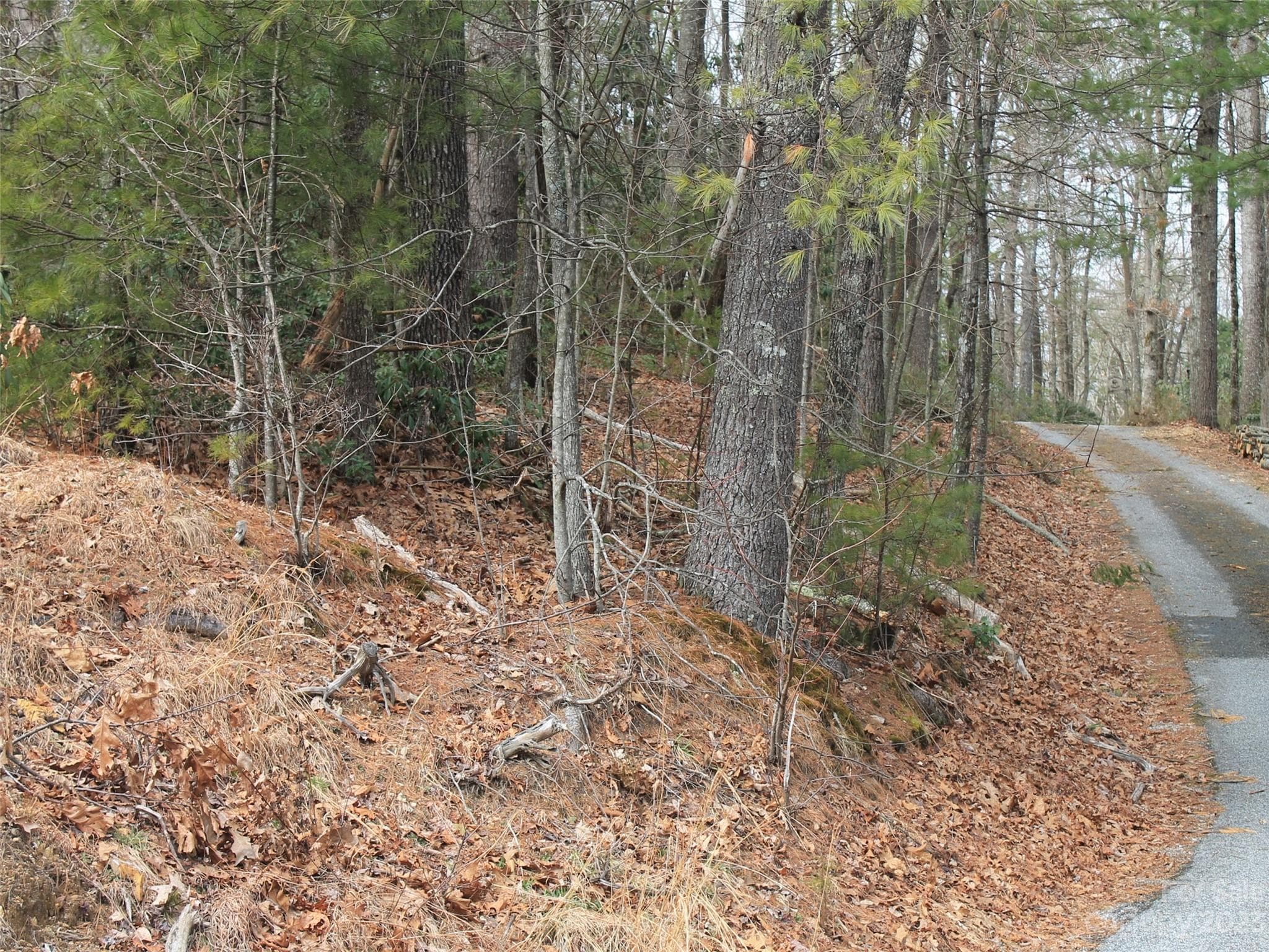 Lot at Hendersonville, photo 4 of 5
