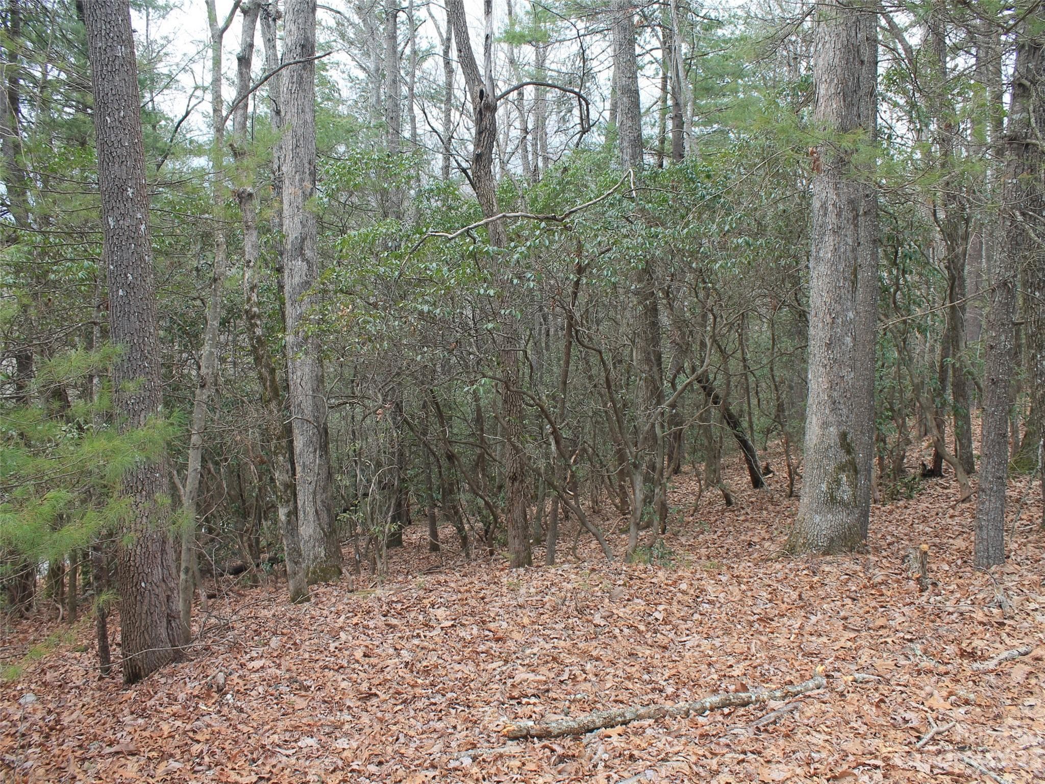 Lot at Hendersonville, photo 5 of 5