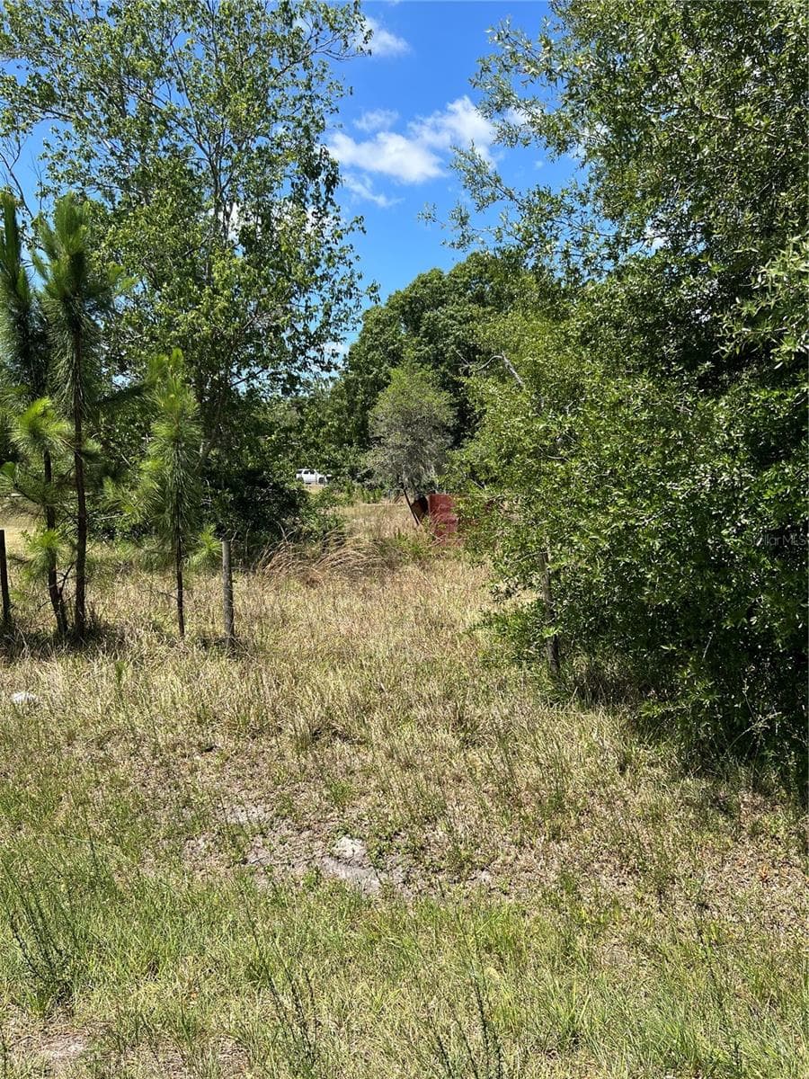 Land at 2519 STATE ROAD 33, CLERMONT, photo 6 of 13