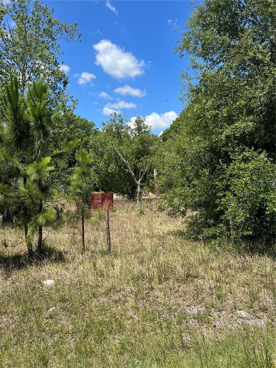 Land at 2519 STATE ROAD 33, CLERMONT, photo 8 of 13