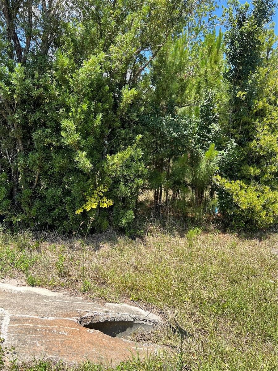 Land at 2519 STATE ROAD 33, CLERMONT, photo 9 of 13