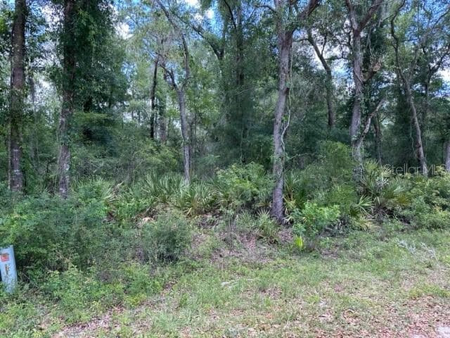 Backs up to Long Lake - 6471 OTTER DR, WEBSTER
