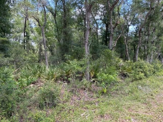 Wooded Lot - 6471 OTTER DR, WEBSTER
