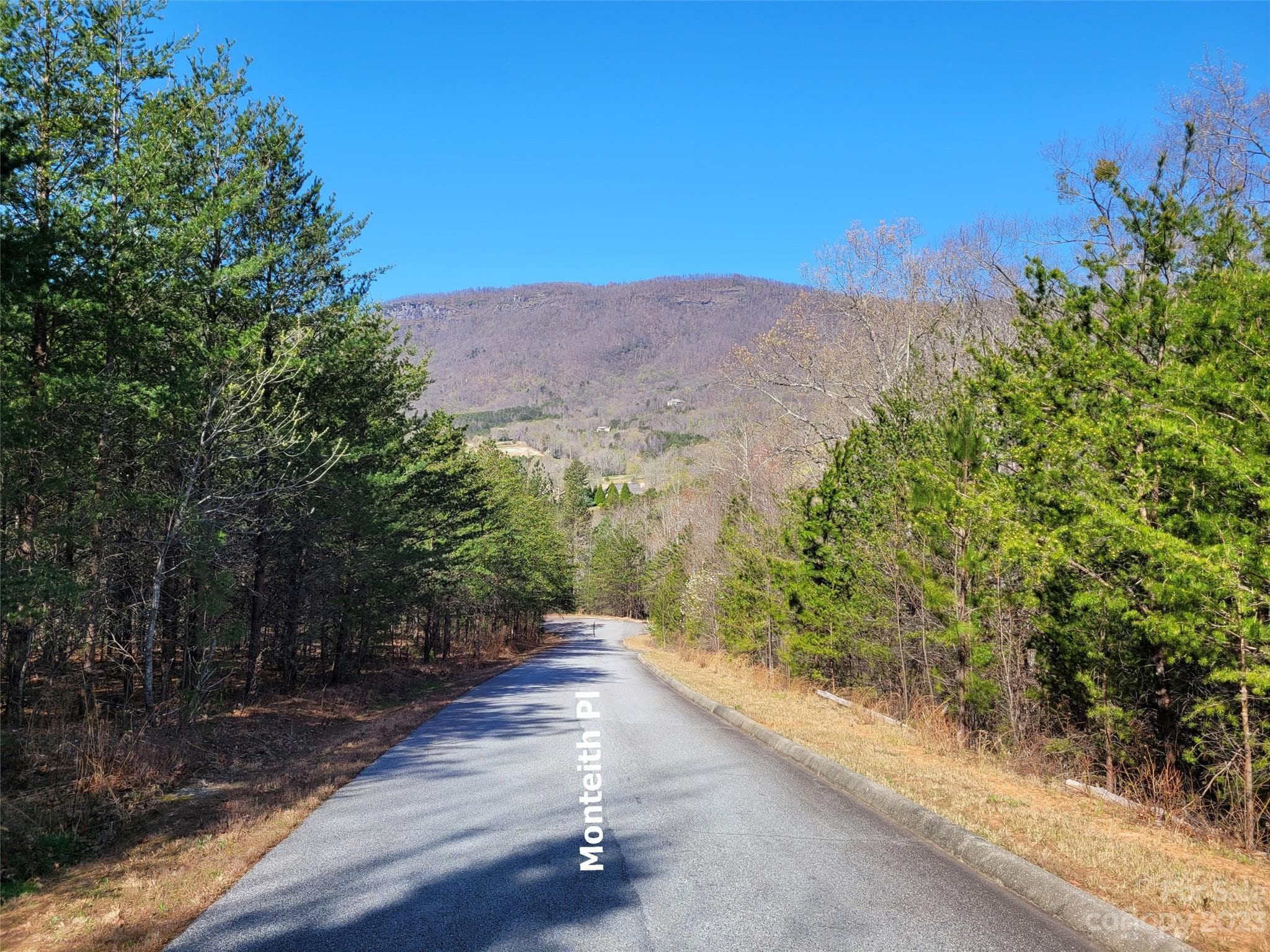 Lot at Mill Spring, photo 3 of 10