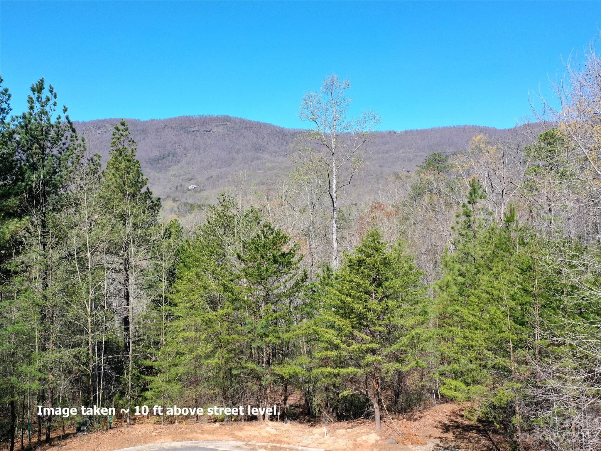 Lot at Mill Spring, photo 4 of 10