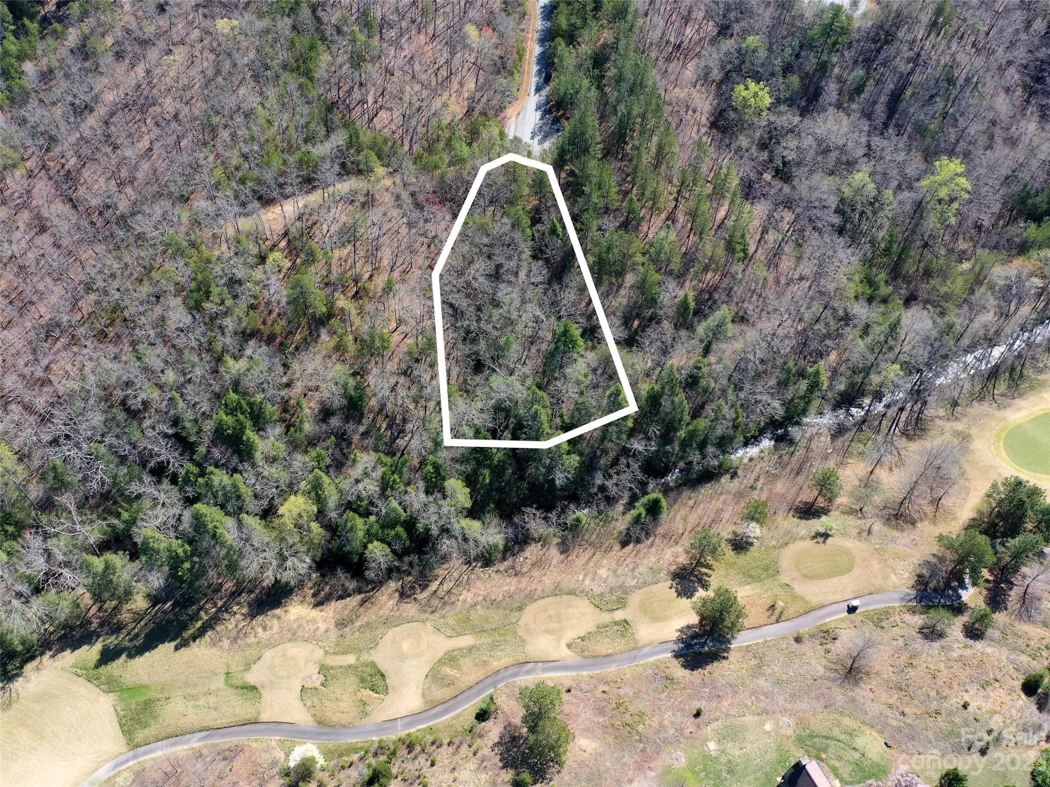 Lot at Mill Spring, photo 7 of 10